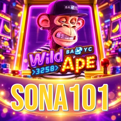 Screenshot 2 - sona101 Features